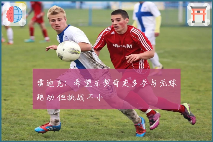 雷迪克：希望东契奇更多参与无球跑动 但挑战不小