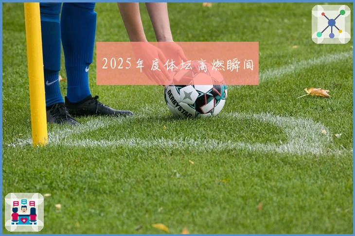 2025年度体坛高燃瞬间