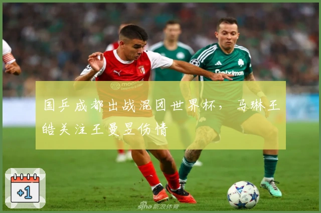 国乒成都出战混团世界杯，马琳王皓关注王曼昱伤情